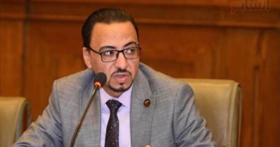 عضو خارجية النواب: دعم مصر لمحاكمة إسرائيل يجسد الحرص على حقوق فلسطين