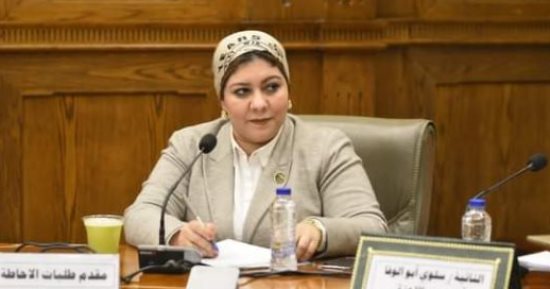 عضو تضامن النواب: "قادرون باختلاف" يعيشون عصرهم الذهبى بعهد الرئيس السيسي