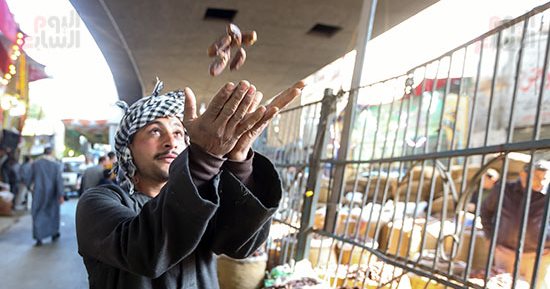 سوق البلح.. ساحل روض الفرج مملكة التمور فى مصر