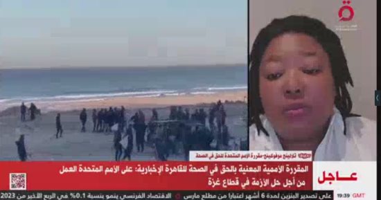 المقررة الأممية المعنية بالحق فى الصحة: إسرائيل دمرت كل مظاهر الحياة فى غزة
