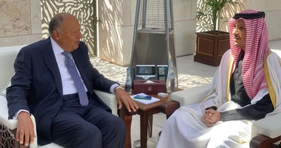 وزير الخارجية يعقد جلسة مباحثات ثنائية مع نظيره القطرى فى الدوحة
