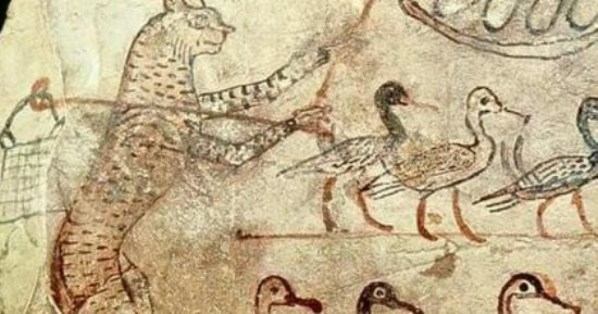 القطط تحرس الأوز في نقش فرعونى بالمتحف المصري.. شاهد