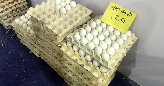 تراجع الأسعار.. معرض أهلا رمضان بالعمرانية يطرح طبق البيض بـ145 جنيها