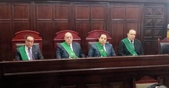 جنايات المنصورة تحيل أوراق عامل تعدى على طفلته للمفتى