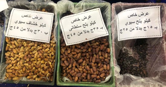 عروض وتخفيضات على البلح فى معرض أهلا رمضان بإمبابة.. صور