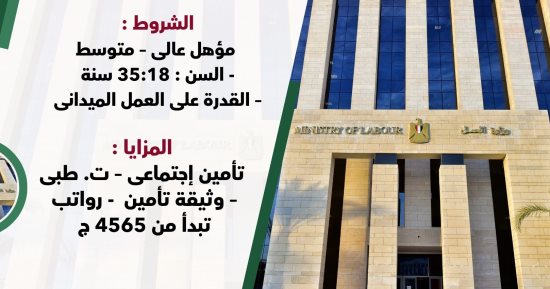 وزارة العمل: 75 فرصة عمل لفتيات الجيزة وسوهاج
