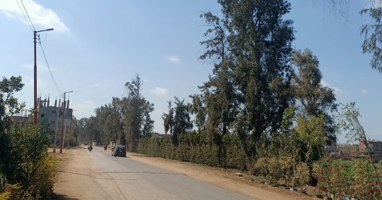 طقس المنوفية: مستقر على معظم مناطق المحافظة وسيولة مرورية على الطرق الرئيسية