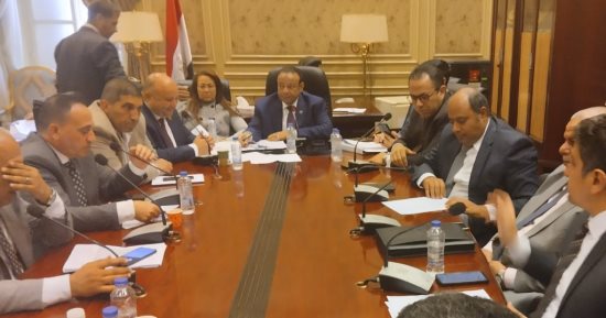 وزارة الشباب للنواب: تشكيل لجنة لاستبدال النجيل الصناعي فى 15 ملعبا بالدقهلية