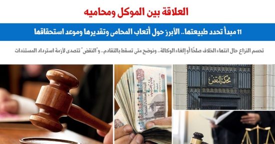 11 مبدأ وضعتها النقض تحدد العلاقة بين الموكل ومحاميه.. عن برلماني  