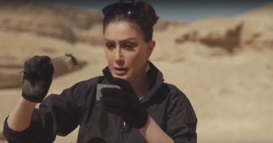 مسلسل صيد العقارب الحلقة 1.. غادة عبد الرازق تنجح فى اصطياد عقرب من نوع نادر