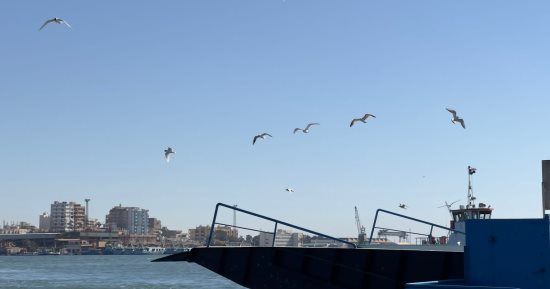 "بين شطين وميه".. شاهد أجمل رحلة بحرية مجانية فى قناة السويس ببورسعيد