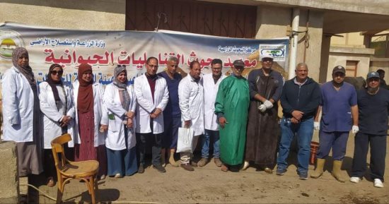 قافلة بيطرية مجانية بقرية مباشر بالشرقية ضمن مبادرة تنمية الريف المصرى