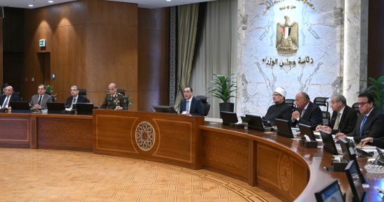 مجلس الوزراء يُحدد 2000 جنيه سعر توريد إردب القمح لموسم 24/ 2025