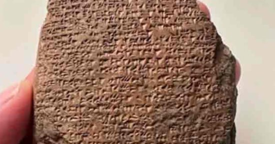 اكتشافات أثرية على مدار الأسبوع بدول مختلفة.. مجوهرات وبقايا لأقدم الغابات