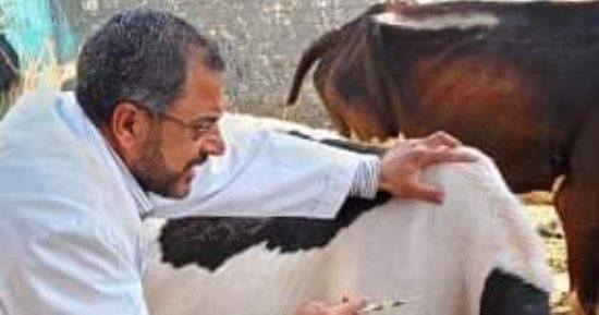 البروسيلا العدو الخفى فى كوب الحليب.. كيف تحمي نفسك منها؟