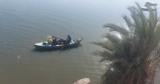 قبل الفطار.. شوف متعة صيد العصارى بالصنارة والفلوكة ببحيرة التمساح بالإسماعيلية