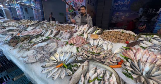 منع تداول الأسماك فى محال ومطاعم البحر الأحمر بدءا من اليوم