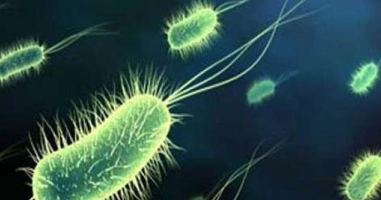 قلق فى اليابان مع ارتفاع معدلات الإصابة ببكتريا نادرة.. جارديان تكشف
