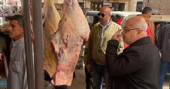 ضبط 9 محاضر ذبح خارج المجازر الحكومية بـ"سنورس" فى الفيوم.. صور