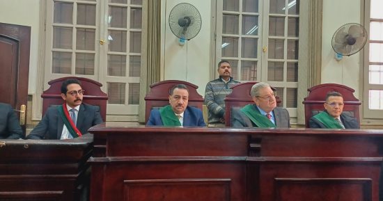 السجن 10 سنوات لعامل بتهمة هتك عرض فتاة "قاصر" في المطرية