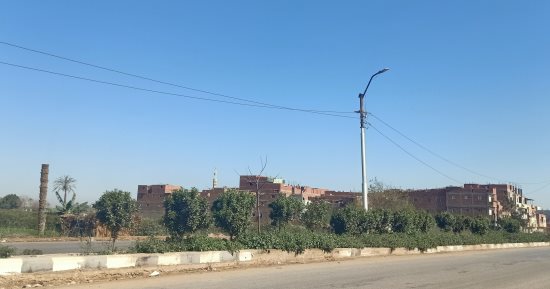 الدنيا ربيع .. أجواء معتدلة ببنى سويف فى أول أيام فصل الربيع