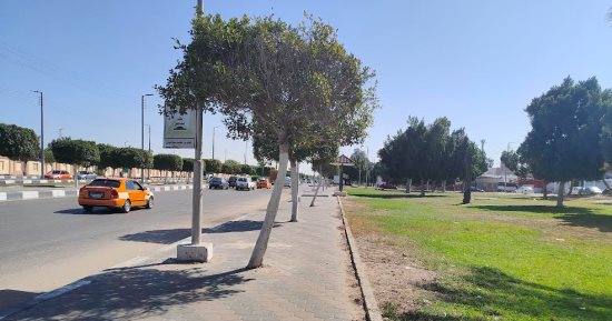 ارتفاع درجات الحرارة فى الإسماعيلية وزوال الشبورة.. فيديو 