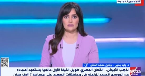 معهد القطن : كفر الشيخ تقدم 33% من إنتاجية المحصول بمصر