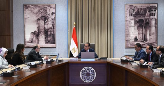 رئيس الوزراء يتابع مع رئيس هيئة الدواء المصرية عددا من ملفات العمل 