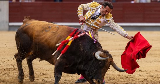 كولومبيا تحظر مصارعة الثيران فى جميع أنحاء البلاد