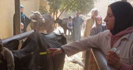 إطلاق قافلة علاجية مجانية وإرشادية لخدمة صغار المربين بقرية المنوات فى الجيزة