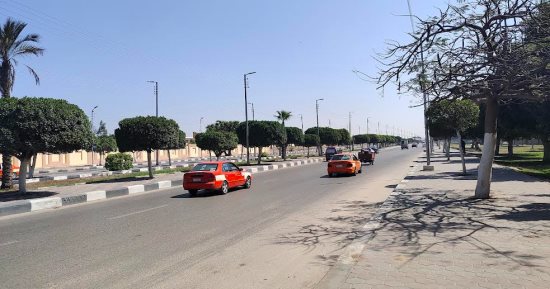 استمرار ارتفاع درجات الحرارة بالإسماعيلية وزوال الشبورة.. فيديو 