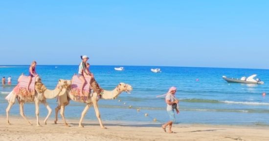 أجمل خلجان البحر الأحمر.. "أبو دباب" تسكنه السلاحف النادرة وعروس البحر