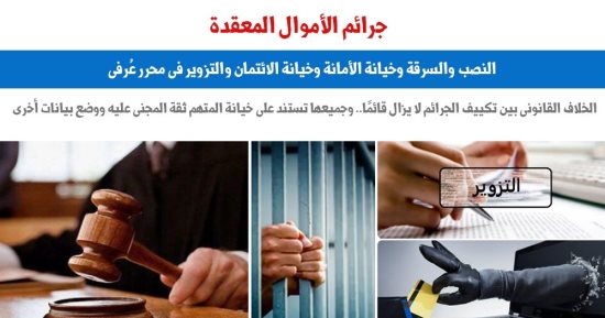 جرائم الأموال المعقدة.. النصب والسرقة وخيانة الأمانة والتزوير.. برلمانى