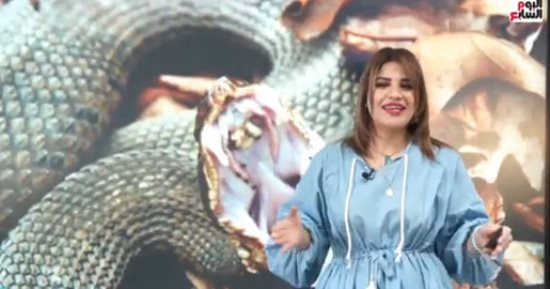 دقيقة واحدة تكفى لقتل من يقترب من جزيرة الثعابين فى البرازيل