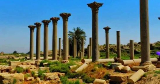 مدينة الأحياء بالمنيا.. لو حابب تزور الأشمونيين اعرف إزاى توصل بالمواصلات