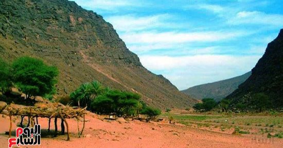 الطبيعة الخلابة والأشجار النادرة.. محطات الطيور المهاجرة فى الصحراء الشرقية