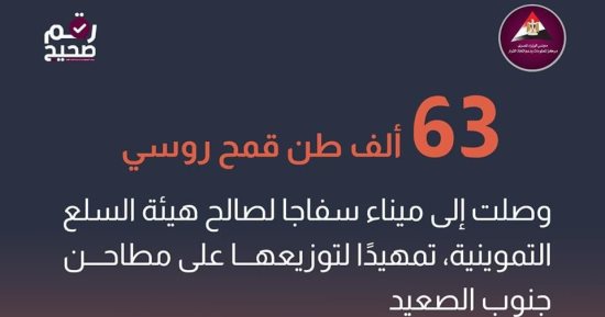معلومات الوزراء: ميناء سفاجا يستقبل 63 ألف طن قمح روسي