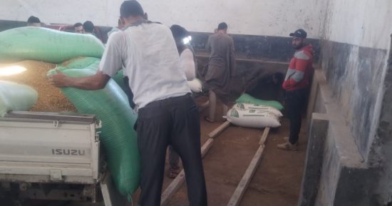 تموين كفر الشيخ: 162 طنا و456 كجم قمح بـ25 موقعا