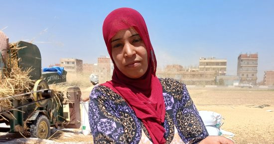 عطاء المرأة الريفية.. "حنان" حامل في التاسع وتعمل فى حصاد القمح باليومية