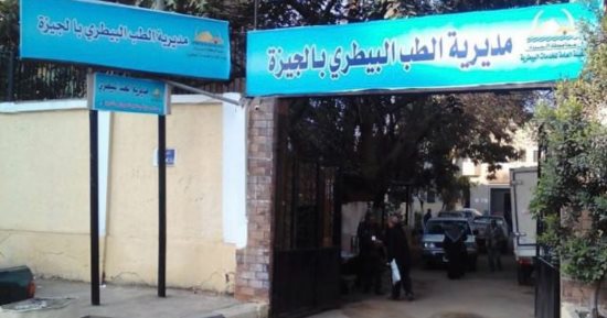 أماكن ترخيص وتحصين الكلاب بمحافظة الجيزة.. 23 وحدة تقدم الخدمة