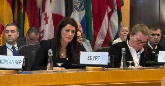 رانيا المشاط: حرصنا على خلق منصات تنسيق لتحقيق التكامل بين جهود شركاء التنمية