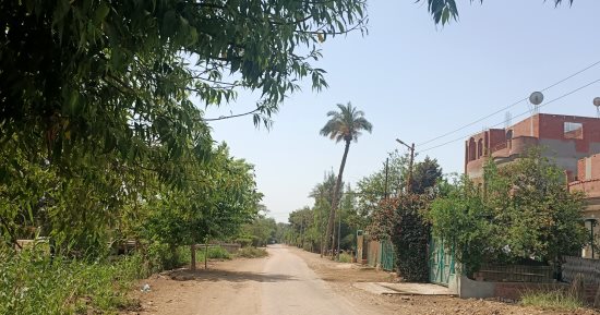 الريف المصرى: مفاوضات مع الجانب الإيطالى لإنشاء مصنع بأراضى 1.5 مليون فدان