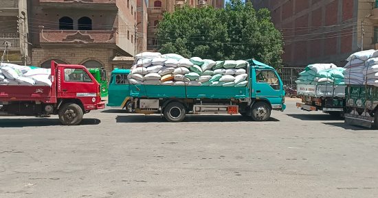 خير بلدنا من الذهب الأصفر.. شاهد طوابير سيارات توريد القمح بصوامع المنوفية