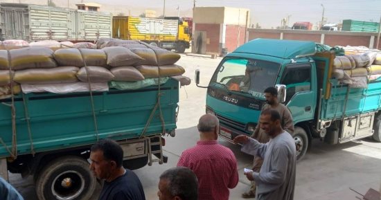 محافظ سوهاج: توريد أكثر من 1300 طن أقماح بشون وصوامع المحافظة حتى الآن