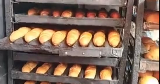 الفينو رخص.. بدء تخفيض الأسعار فى المنيا "فيديو"