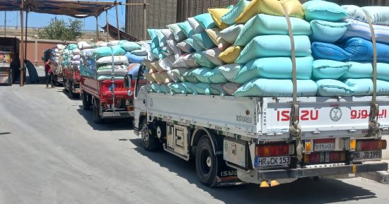 استقبال 36 ألفا و500 طن قمح بالشون والصوامع بالدقهلية حتى الآن