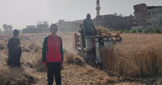 شاهد فرحة مزارعى الشرقية بحصاد القمح رغم ارتفاع درجات الحرارة.. فيديو