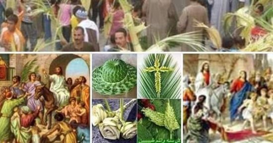 المسيح مر من هنا.. لماذا يحتفل الأقباط بأغصان الزيتون والسعف فى أحد الشعانين؟