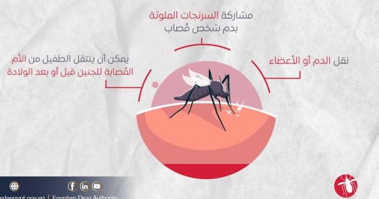 كيف تنتقل عدوى الملاريا؟.. هيئة الدواء تجيب