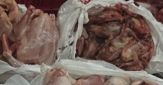 ضبط 22 طن مصنعات لحوم ورنجة وفسيخ غير صالحة بالقاهرة